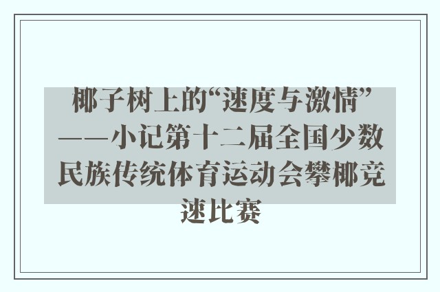 椰子树上的“速度与激情”——小记第十二届全国少数民族传统体育运动会攀椰竞速比赛