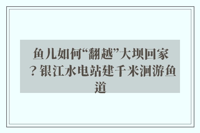 鱼儿如何“翻越”大坝回家？银江水电站建千米洄游鱼道