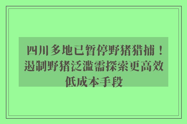 四川多地已暂停野猪猎捕！遏制野猪泛滥需探索更高效低成本手段
