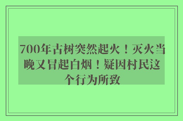 700年古树突然起火！灭火当晚又冒起白烟！疑因村民这个行为所致