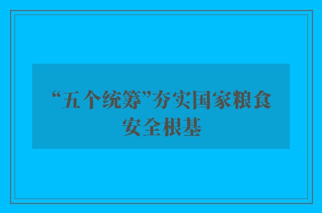 “五个统筹”夯实国家粮食安全根基