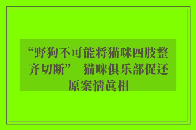 “野狗不可能将猫咪四肢整齐切断”　猫咪俱乐部促还原案情真相