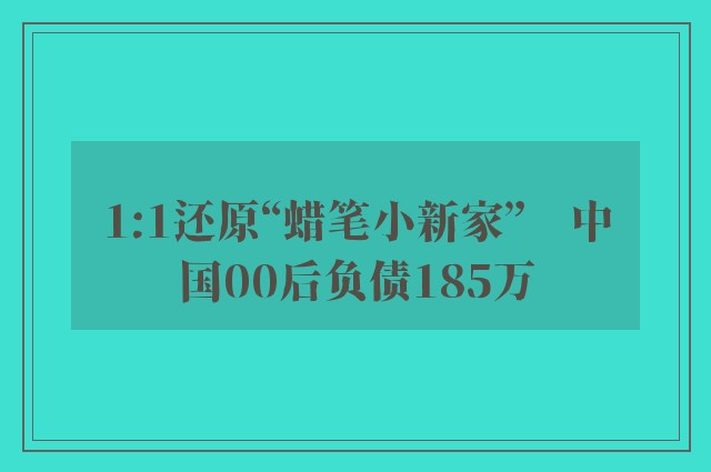 1:1还原“蜡笔小新家”　中国00后负债185万